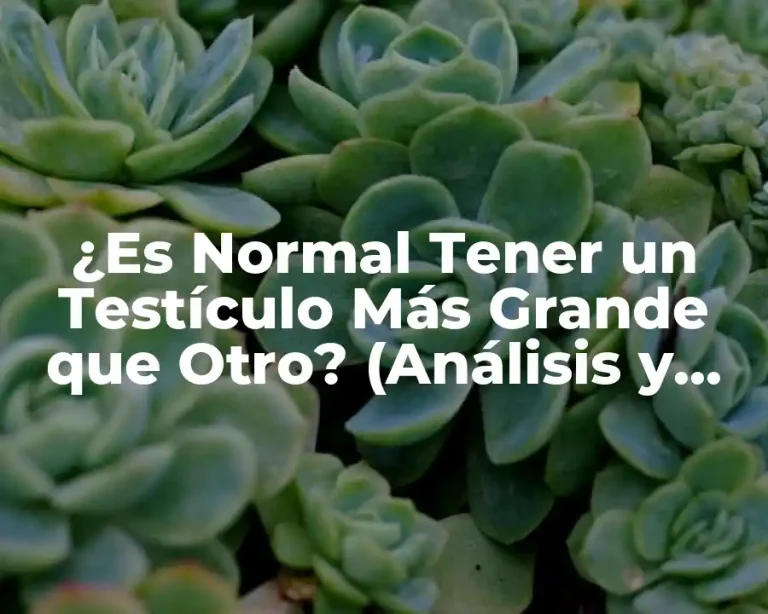 ¿Es Normal Tener un Testículo Más Grande que Otro? (Análisis y Respuestas)