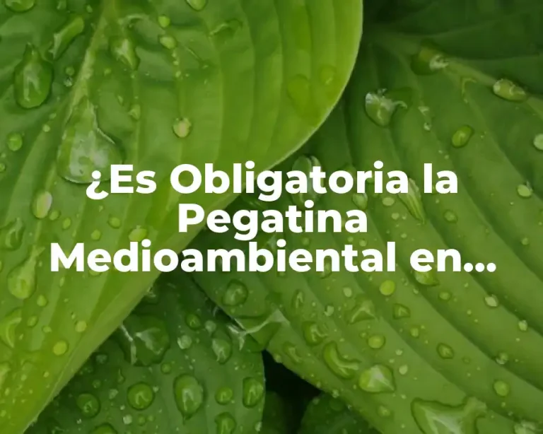 ¿Es Obligatoria la Pegatina Medioambiental en Madrid?