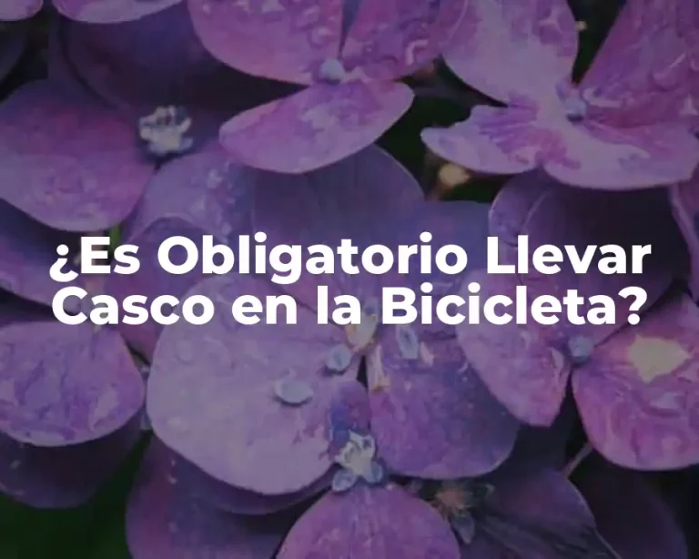 ¿Es Obligatorio Llevar Casco en la Bicicleta?