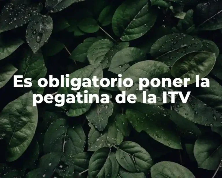 Es obligatorio poner la pegatina de la ITV