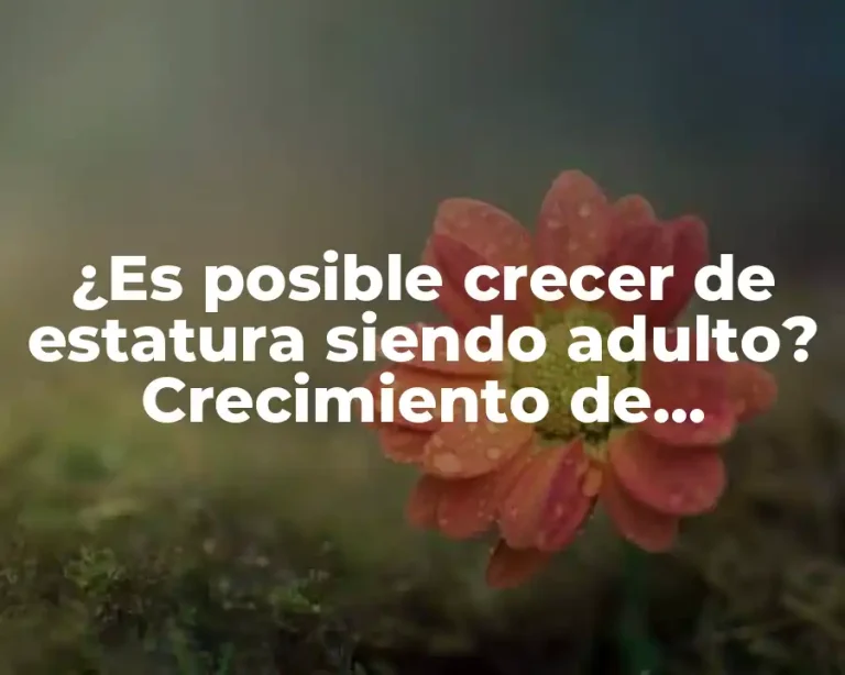 ¿Es posible crecer de estatura siendo adulto? Crecimiento de estatura en adultos