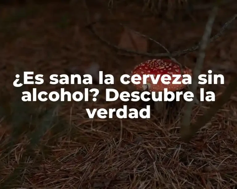 ¿Es sana la cerveza sin alcohol? Descubre la verdad