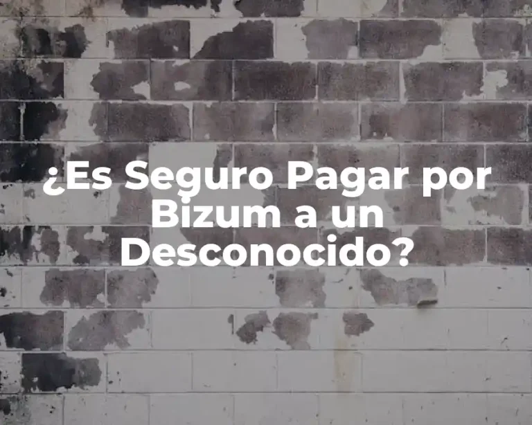 ¿Es Seguro Pagar por Bizum a un Desconocido?