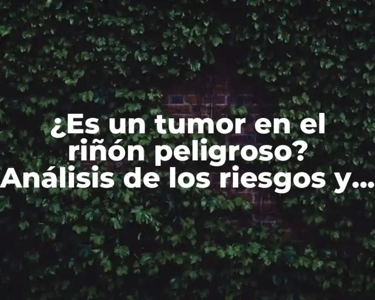 ¿Es un tumor en el riñón peligroso? Análisis de los riesgos y consecuencias