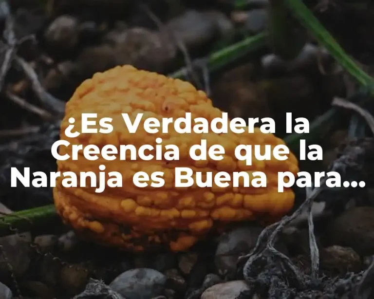 ¿Es Verdadera la Creencia de que la Naranja es Buena para la Diarrea?