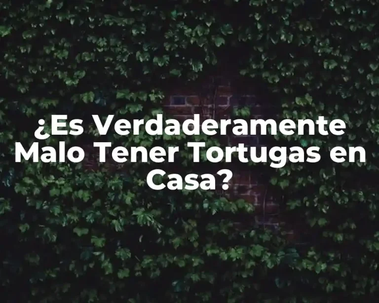 ¿Es Verdaderamente Malo Tener Tortugas en Casa?