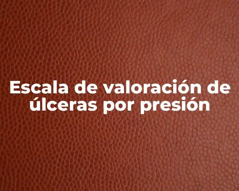 Escala de valoración de úlceras por presión
