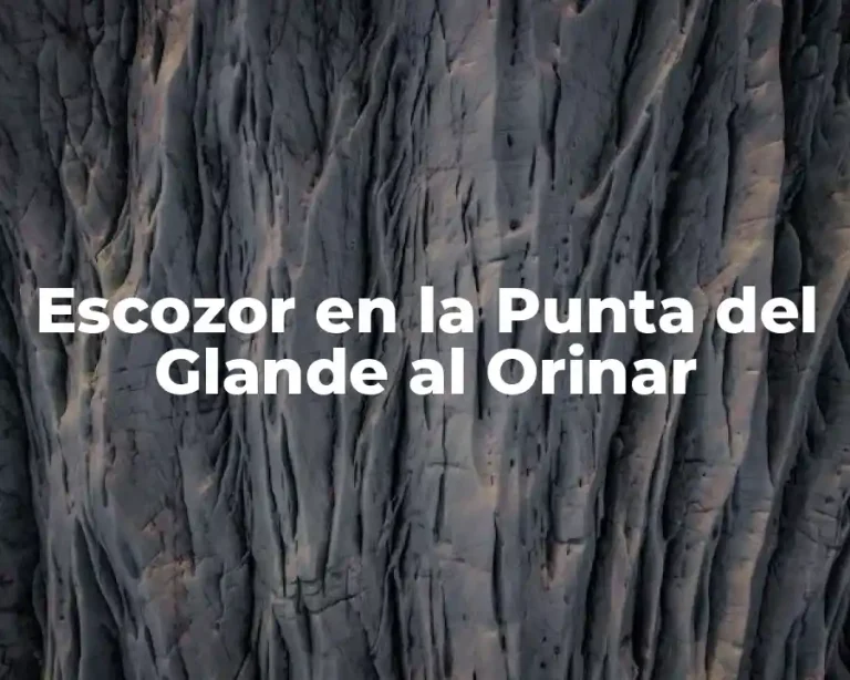 Escozor en la Punta del Glande al Orinar