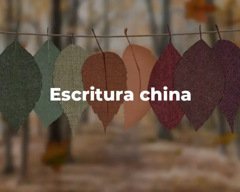Escritura china