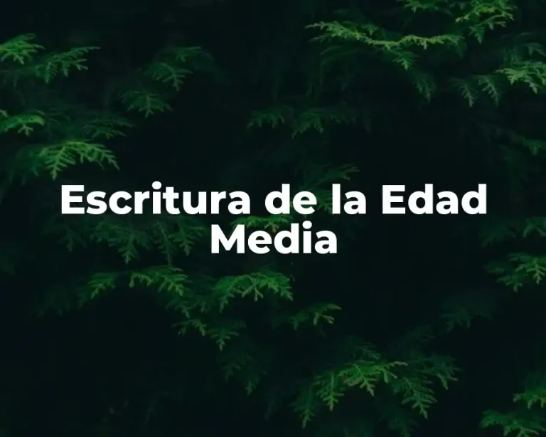 Escritura de la Edad Media