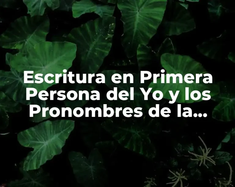 Escritura en Primera Persona del Yo y los Pronombres de la Primera Persona del Tú y del Él (1, 2 y 3)