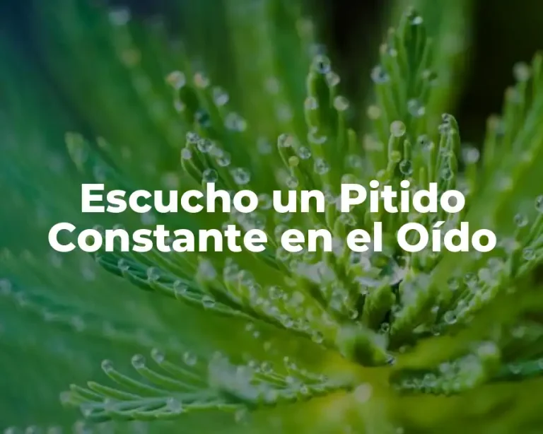 Escucho un Pitido Constante en el Oído