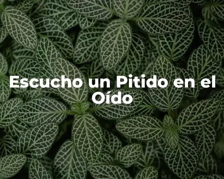 Escucho un Pitido en el Oído