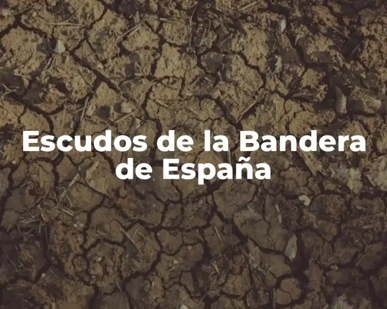 Escudos de la Bandera de España