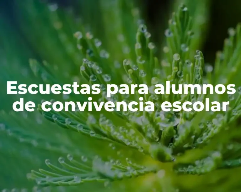 Escuestas para alumnos de convivencia escolar
