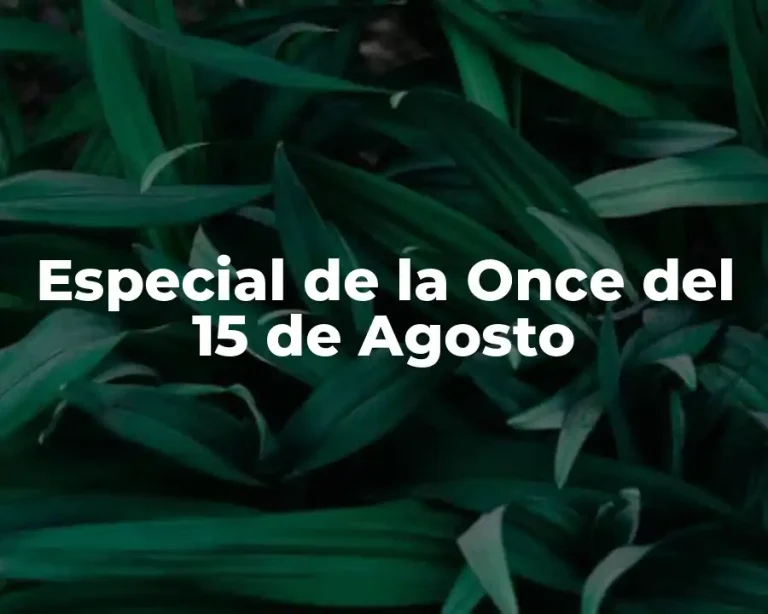 Especial de la Once del 15 de Agosto
