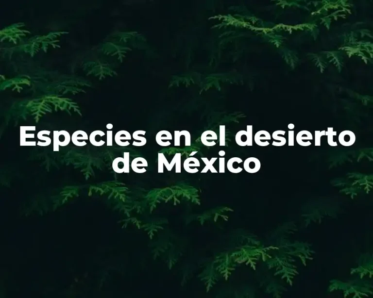 Especies en el desierto de México