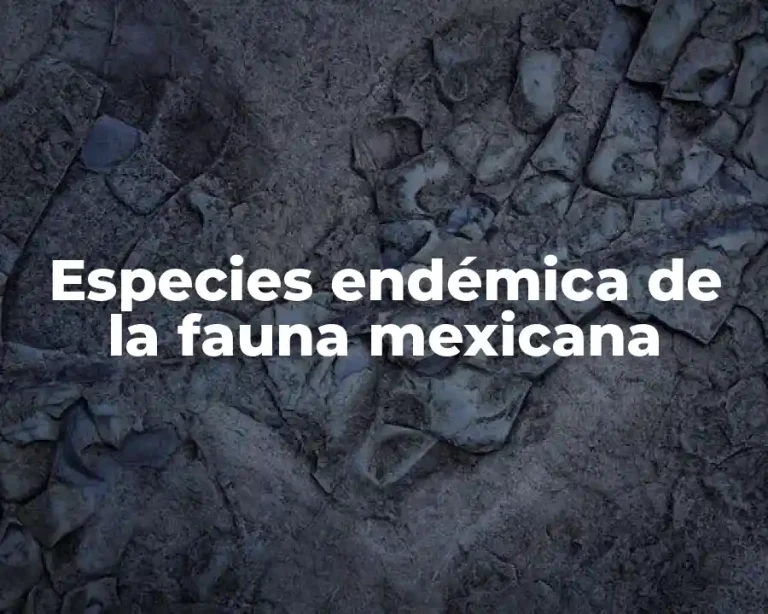 Especies endémica de la fauna mexicana