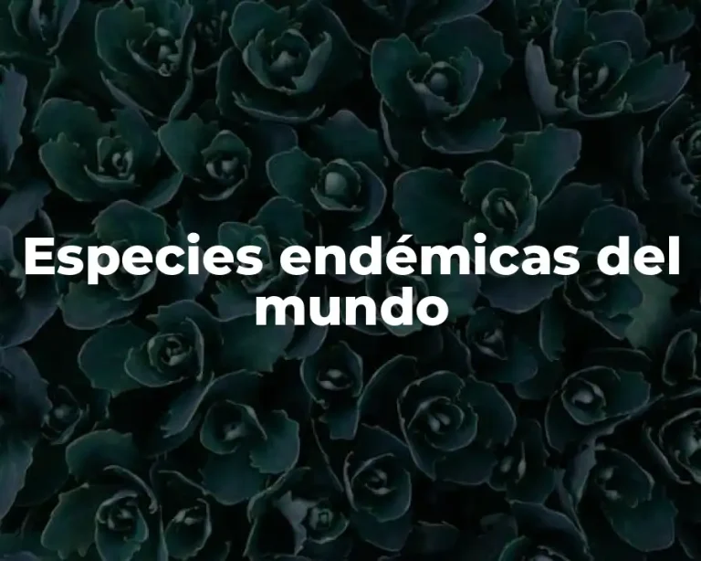 Especies endémicas del mundo