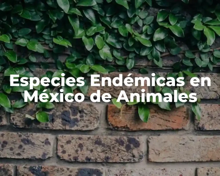 Especies Endémicas en México de Animales