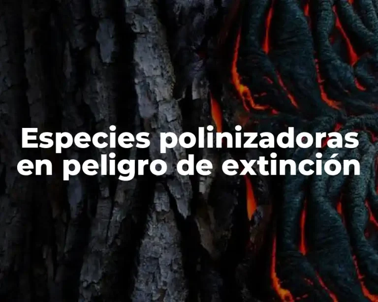 Especies polinizadoras en peligro de extinción
