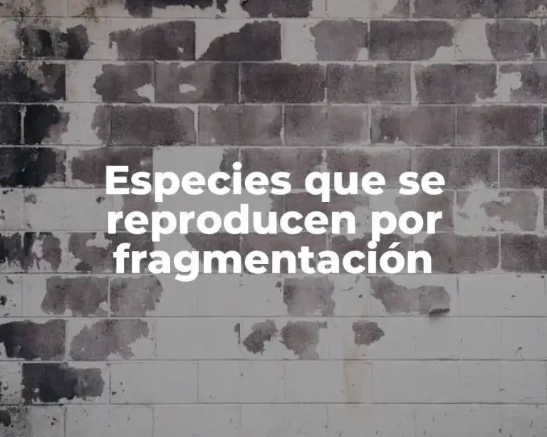 Especies que se reproducen por fragmentación