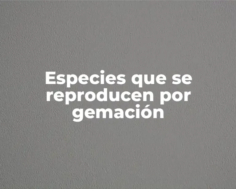 Especies que se reproducen por gemación
