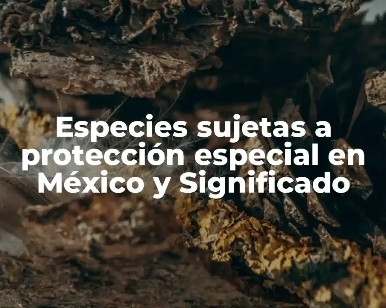 Especies sujetas a protección especial en México y Significado