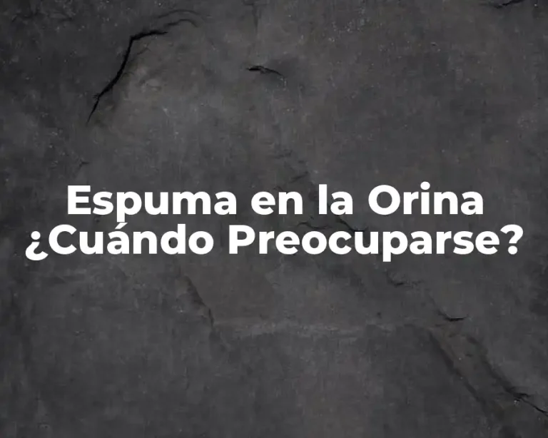 Espuma en la Orina ¿Cuándo Preocuparse?