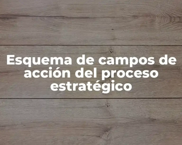 Esquema de campos de acción del proceso estratégico