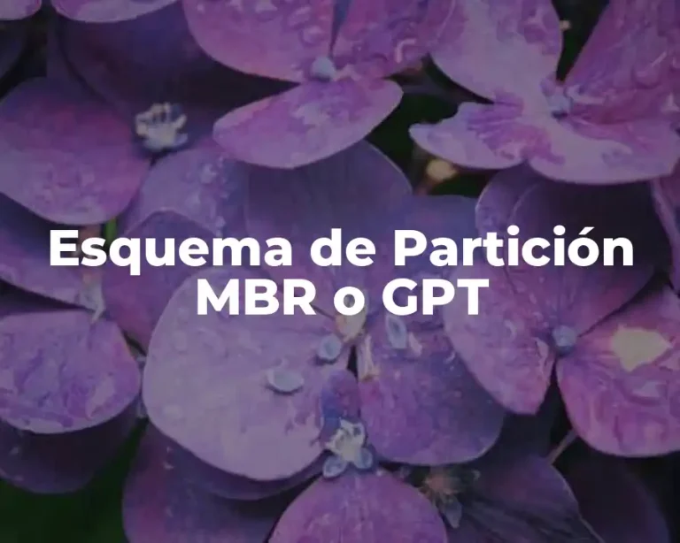 Esquema de Partición MBR o GPT