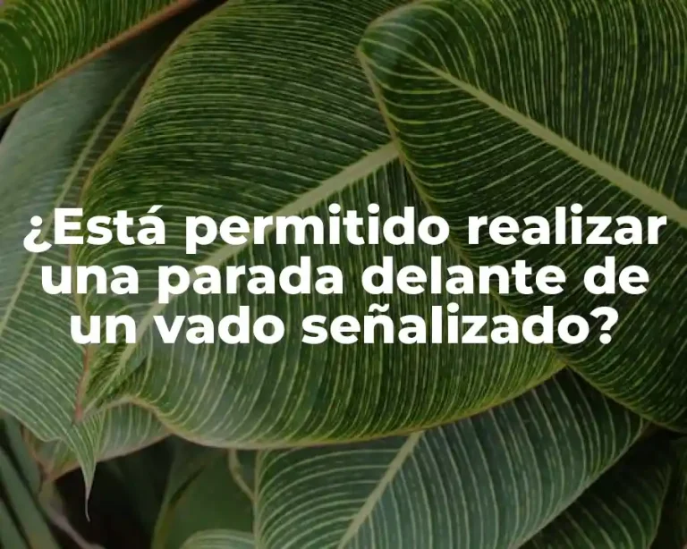 ¿Está permitido realizar una parada delante de un vado señalizado?