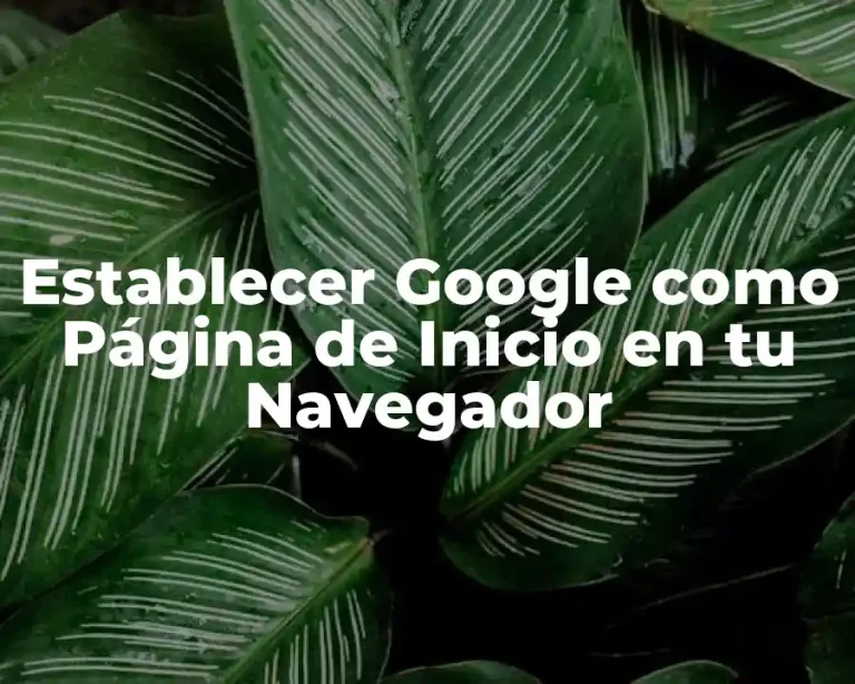 Establecer Google como Página de Inicio en tu Navegador