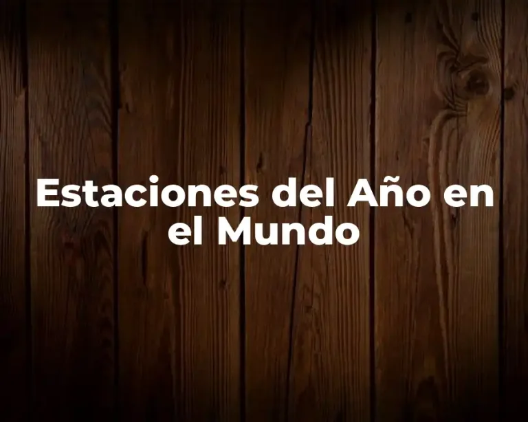Estaciones del Año en el Mundo