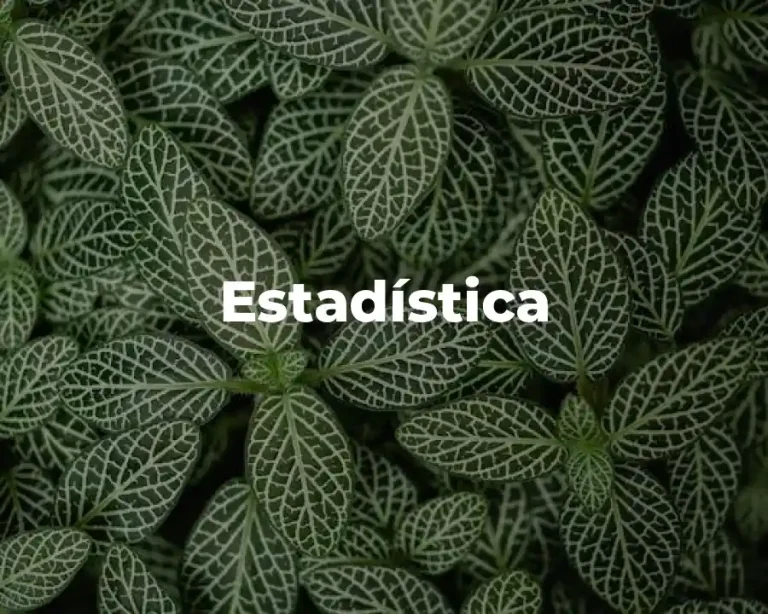 Estadística