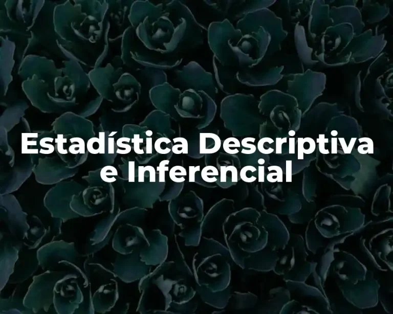 Estadística Descriptiva e Inferencial
