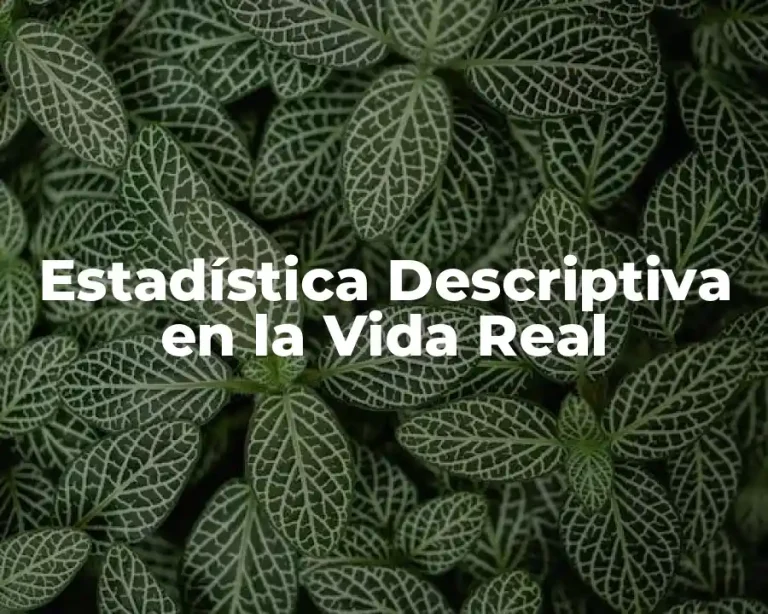 Estadística Descriptiva en la Vida Real