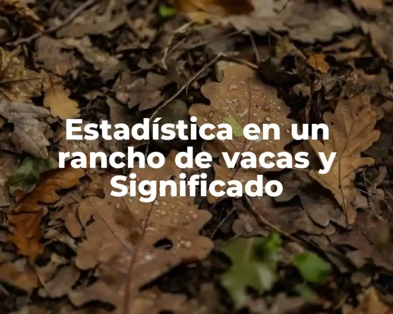 Estadística en un rancho de vacas y Significado