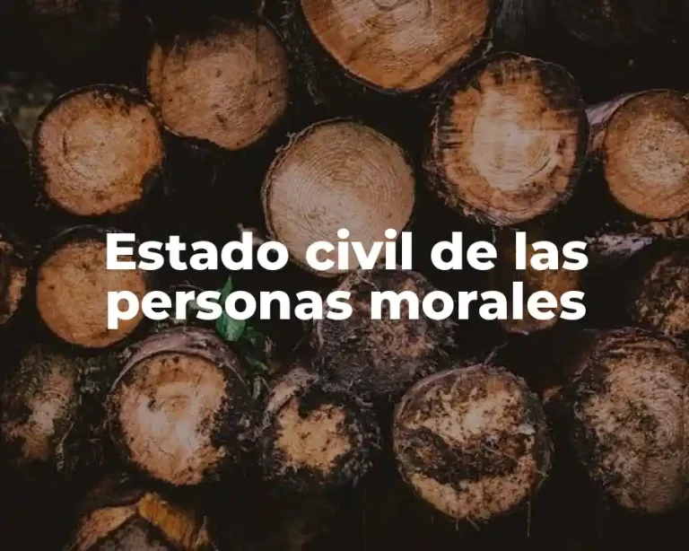 Estado civil de las personas morales