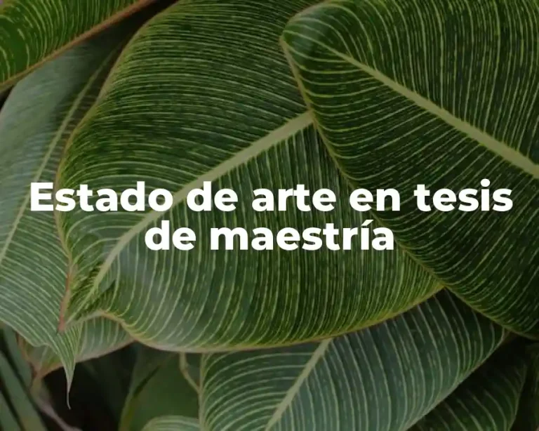 Estado de arte en tesis de maestría