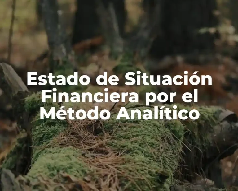 Estado de Situación Financiera por el Método Analítico