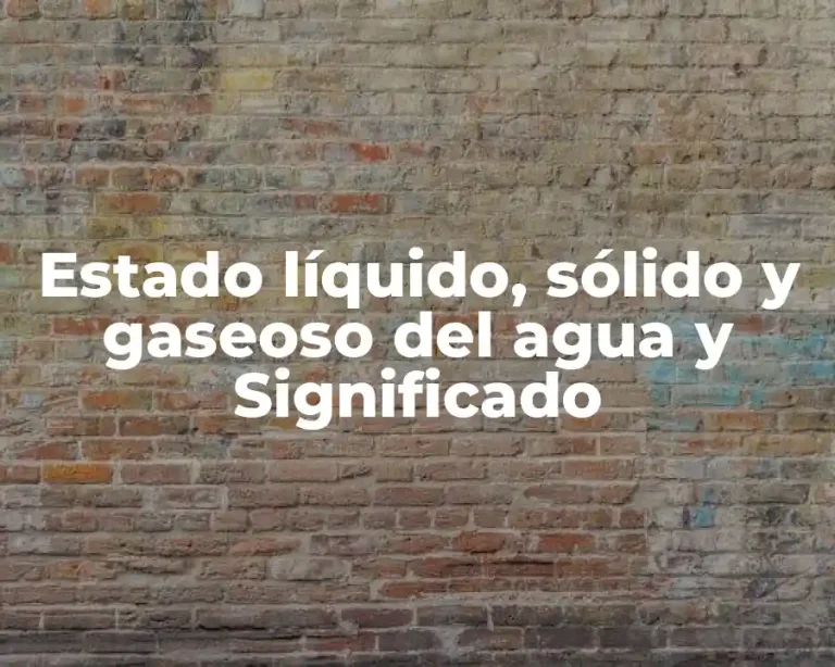 Estado líquido, sólido y gaseoso del agua y Significado
