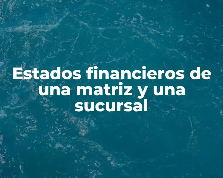 Estados financieros de una matriz y una sucursal