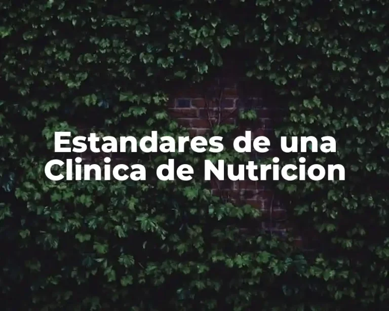 Estandares de una Clinica de Nutricion