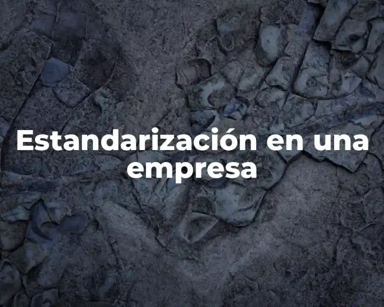 Estandarización en una empresa