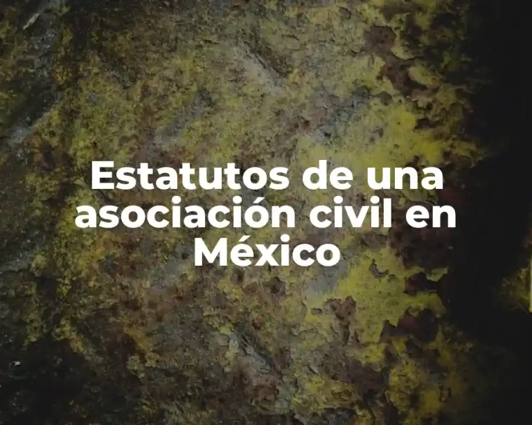 Estatutos de una asociación civil en México