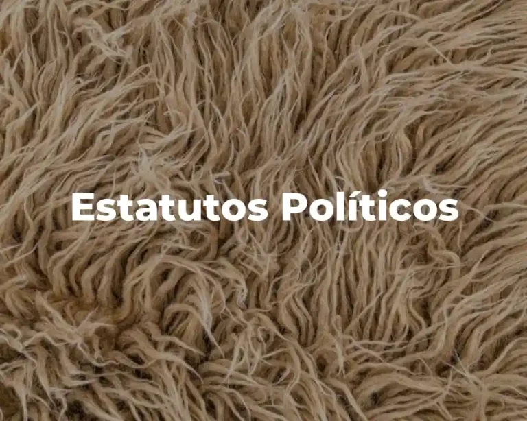 Estatutos Políticos