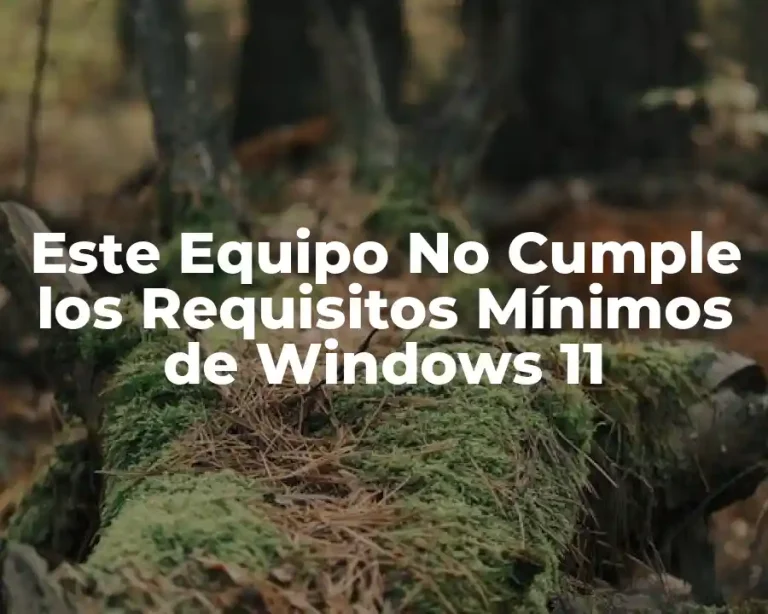 Este Equipo No Cumple los Requisitos Mínimos de Windows 11
