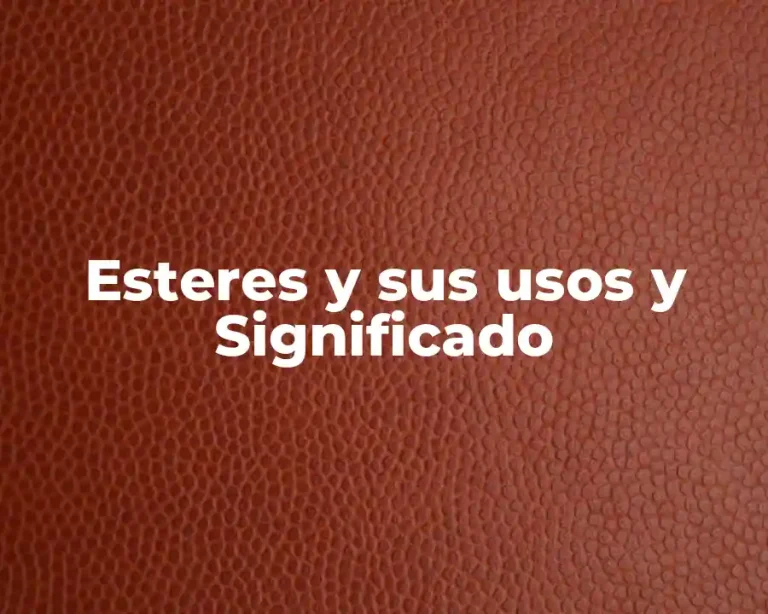 Esteres y sus usos y Significado