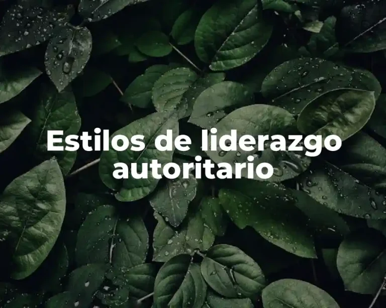 Estilos de liderazgo autoritario